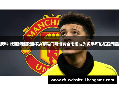 尼科·威廉姆斯欧洲杯决赛破门引爆转会市场成为炙手可热超级新星 尼科·威廉姆斯欧洲杯决赛破门引爆转会市场成为炙手可热超级新星